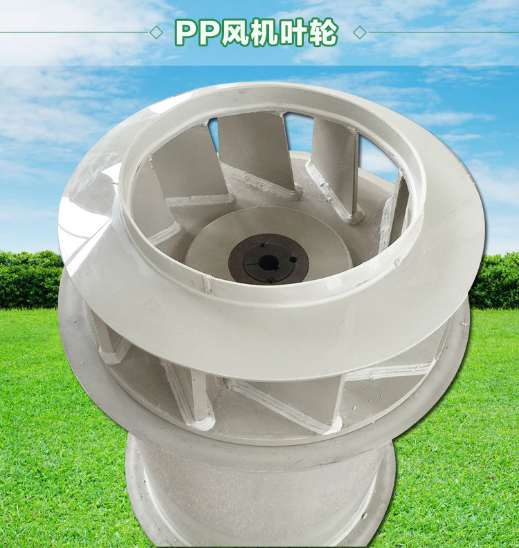 1705022226137186.jpg 1494928991.jpg